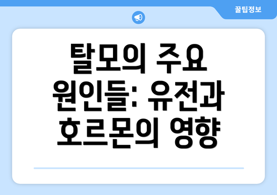탈모의 주요 원인들: 유전과 호르몬의 영향