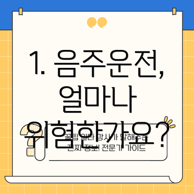 1. 음주운전, 얼마나 위험한가요?