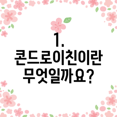 1. 콘드로이친이란 무엇일까요?