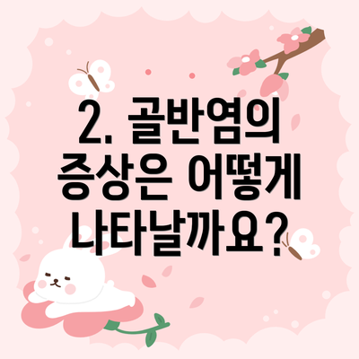 2. 골반염의 증상은 어떻게 나타날까요?