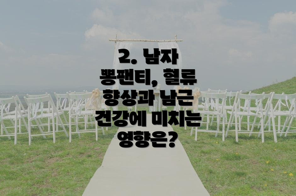 2. 남자 뽕팬티, 혈류 향상과 남근 건강에 미치는 영향은?