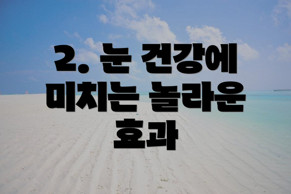 2. 눈 건강에 미치는 놀라운 효과