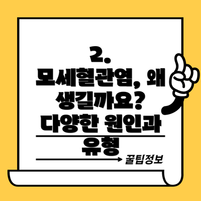 2. 모세혈관염, 왜 생길까요? 다양한 원인과 유형