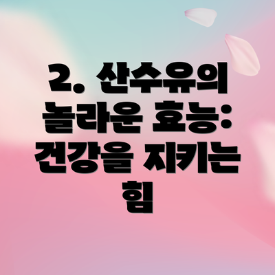 2. 산수유의 놀라운 효능: 건강을 지키는 힘