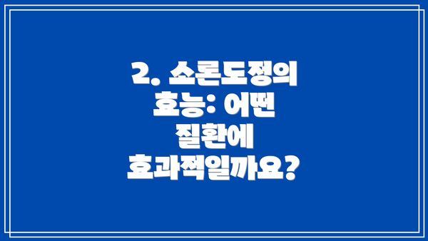 2. 소론도정의 효능: 어떤 질환에 효과적일까요?