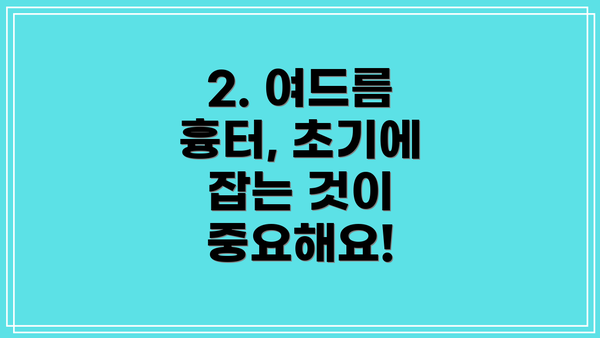 2. 여드름 흉터, 초기에 잡는 것이 중요해요!