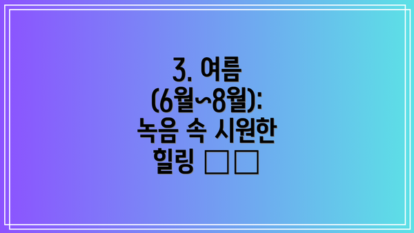 3. 여름 (6월~8월): 녹음 속 시원한 힐링 🌿💦
