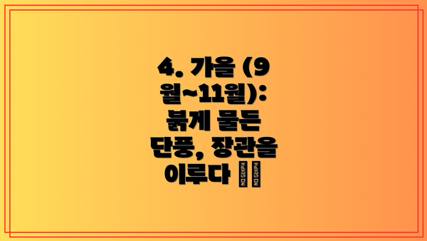 4. 가을 (9월~11월): 붉게 물든 단풍, 장관을 이루다 🍁🍂