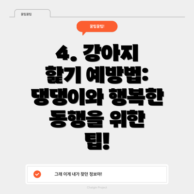 4. 강아지 핥기 예방법: 댕댕이와 행복한 동행을 위한 팁!