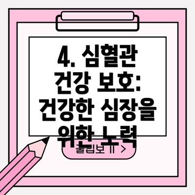 4. 심혈관 건강 보호: 건강한 심장을 위한 노력