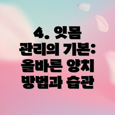 4. 잇몸 관리의 기본: 올바른 양치 방법과 습관