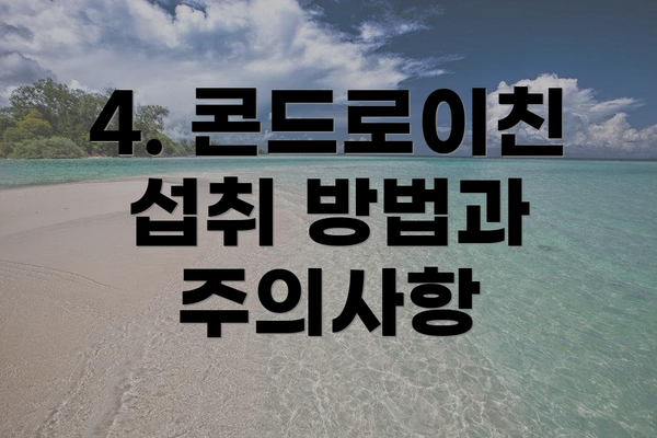 4. 콘드로이친 섭취 방법과 주의사항