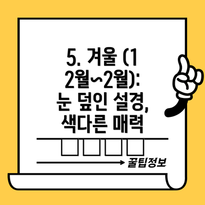 5. 겨울 (12월~2월): 눈 덮인 설경, 색다른 매력 ❄️☃️