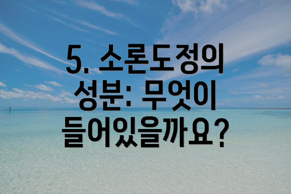 5. 소론도정의 성분: 무엇이 들어있을까요?