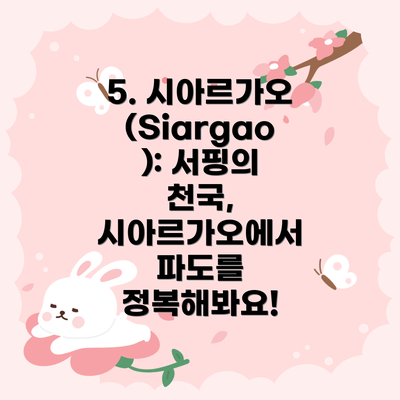 5. 시아르가오 (Siargao): 서핑의 천국, 시아르가오에서 파도를 정복해봐요!