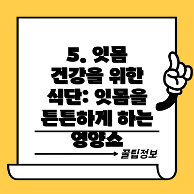 5. 잇몸 건강을 위한 식단: 잇몸을 튼튼하게 하는 영양소