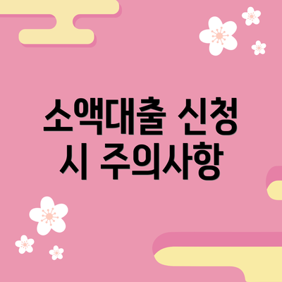 소액대출 신청 시 주의사항