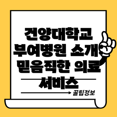 건양대학교 부여병원 소개: 믿음직한 의료 서비스