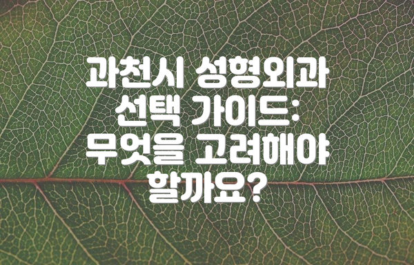 과천시 성형외과 선택 가이드: 무엇을 고려해야 할까요?