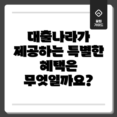 대출나라가 제공하는 특별한 혜택은 무엇일까요?
