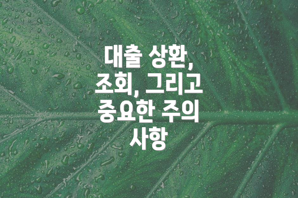 대출 상환, 조회, 그리고 중요한 주의 사항