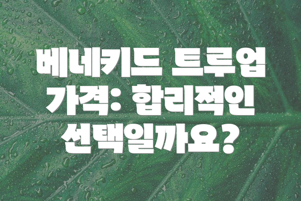 베네키드 트루업 가격: 합리적인 선택일까요?