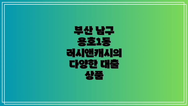 부산 남구 용호1동 러시앤캐시의 다양한 대출 상품