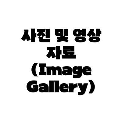 사진 및 영상 자료 (Image Gallery)