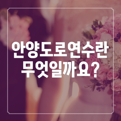 안양도로연수란 무엇일까요?