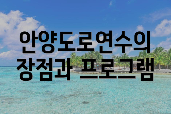 안양도로연수의 장점과 프로그램