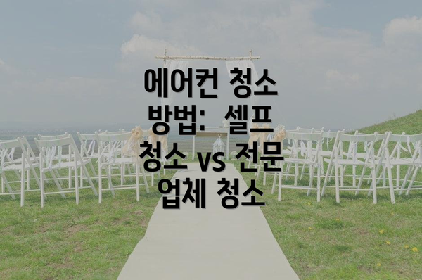 에어컨 청소 방법:  셀프 청소 vs 전문 업체 청소
