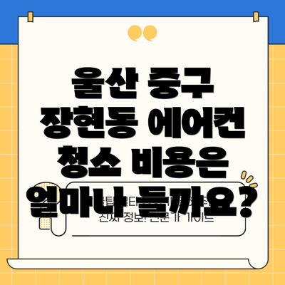 울산 중구 장현동 에어컨 청소 비용은 얼마나 들까요?