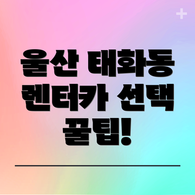 울산 태화동 렌터카 선택 꿀팁!