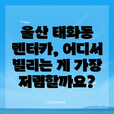 울산 태화동 렌터카, 어디서 빌리는 게 가장 저렴할까요?