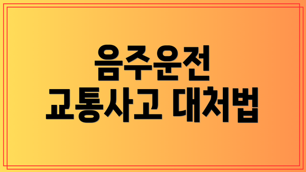 음주운전 교통사고 대처법