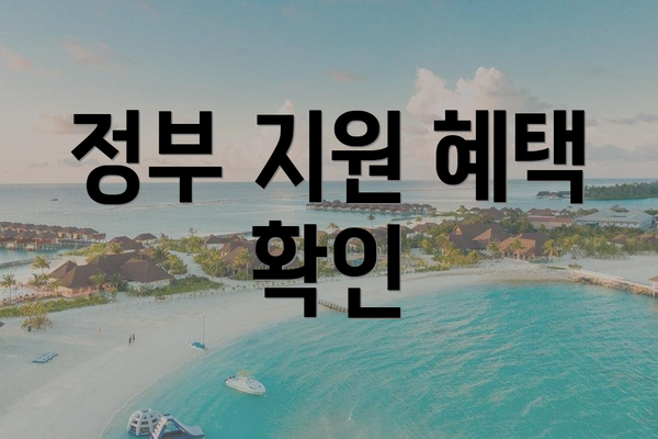 정부 지원 혜택 확인
