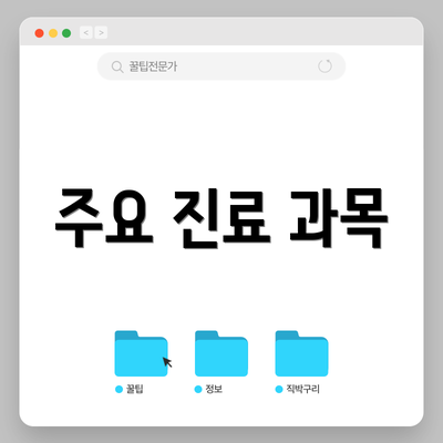 주요 진료 과목