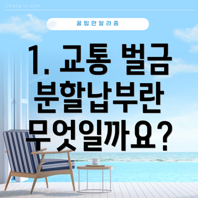 1. 교통 벌금 분할납부란 무엇일까요?
