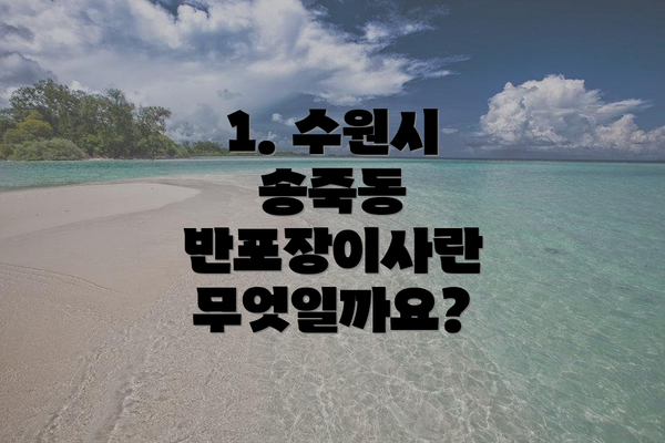 1. 수원시 송죽동 반포장이사란 무엇일까요?