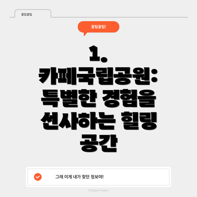 1. 카페국립공원: 특별한 경험을 선사하는 힐링 공간