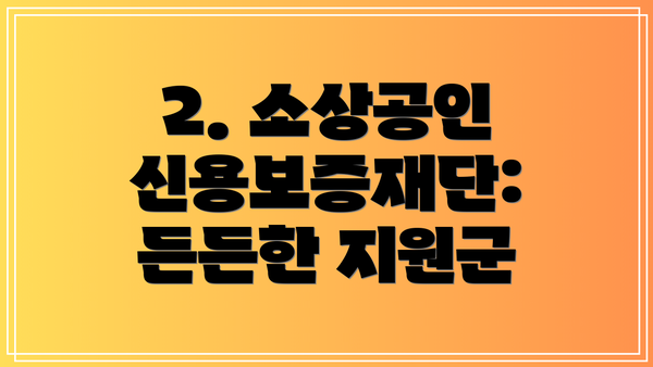 2. 소상공인 신용보증재단: 든든한 지원군