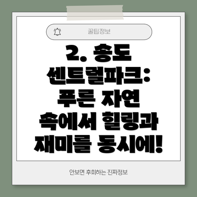 2. 송도 센트럴파크: 푸른 자연 속에서 힐링과 재미를 동시에!