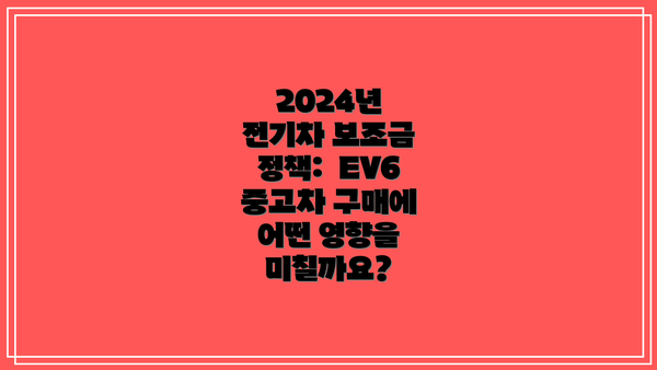 2024년 전기차 보조금 정책:  EV6 중고차 구매에 어떤 영향을 미칠까요?