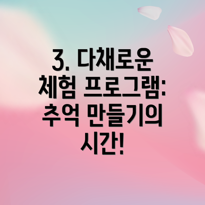3. 다채로운 체험 프로그램: 추억 만들기의 시간!