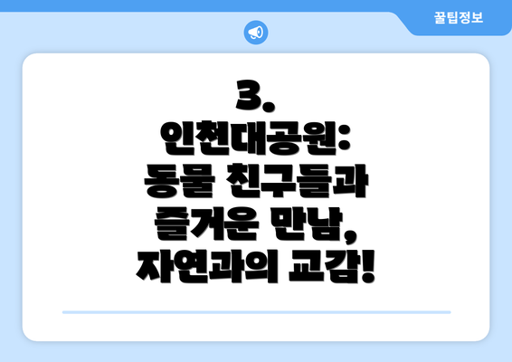3. 인천대공원: 동물 친구들과 즐거운 만남, 자연과의 교감!