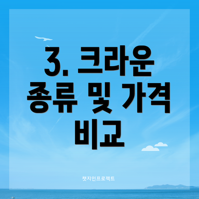 3. 크라운 종류 및 가격 비교