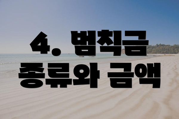 4. 범칙금 종류와 금액