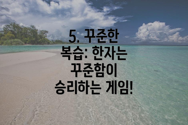 5. 꾸준한 복습: 한자는 꾸준함이 승리하는 게임!