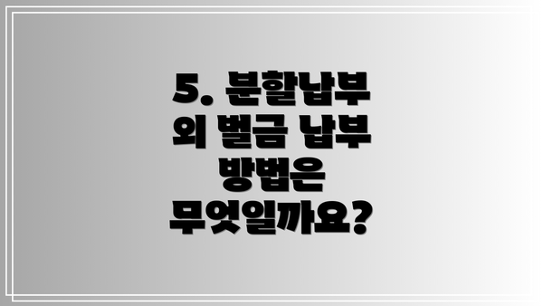 5. 분할납부 외 벌금 납부 방법은 무엇일까요?