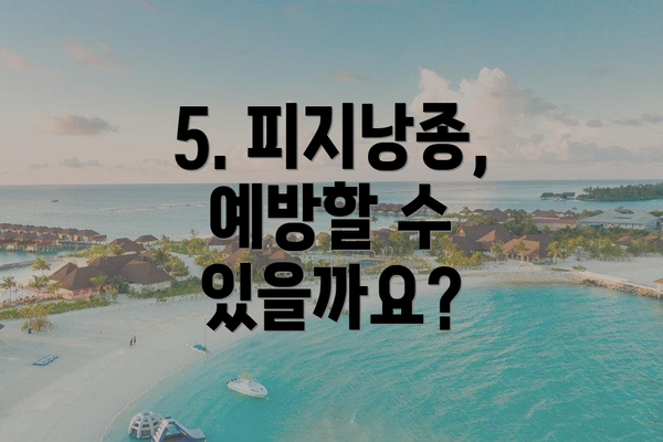 5. 피지낭종, 예방할 수 있을까요?